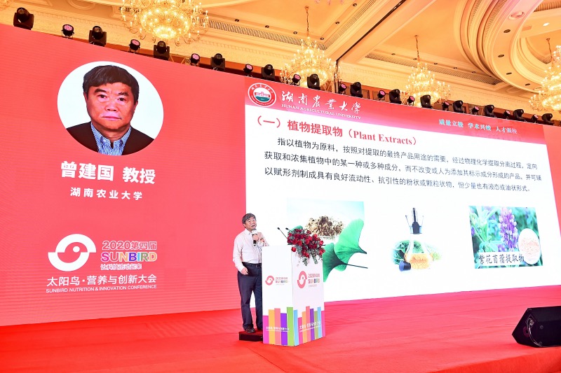 1625062053654931.jpg 2020太阳鸟.jpg